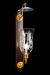 Federal Sconce Neo-Classical